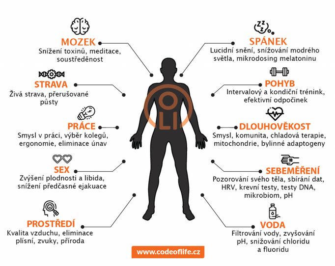 Biohacking se na mezinárodní úrovni rozděluje do tří kategorií.