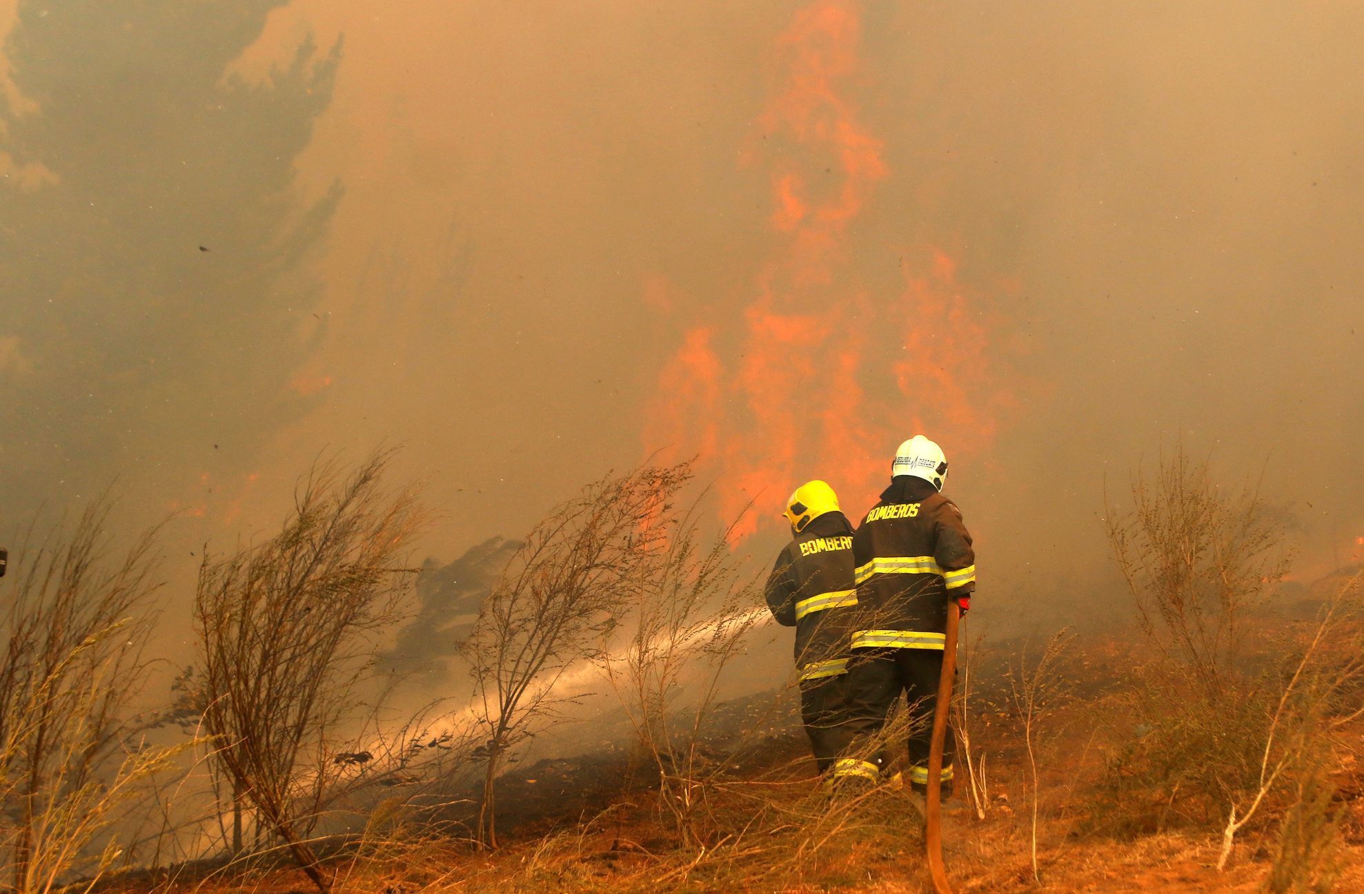 Chile lesní požáry