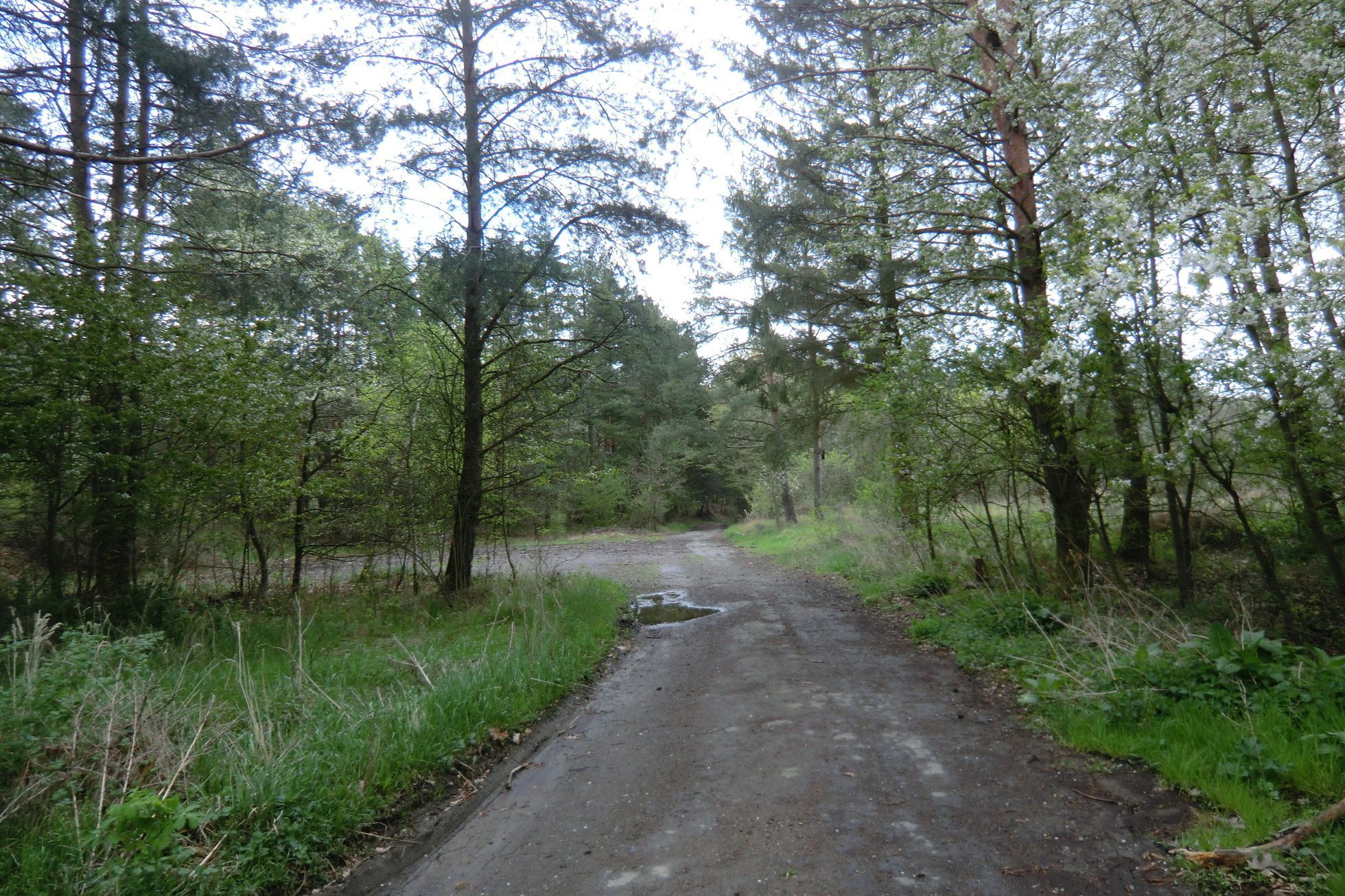 pozemek Břežany u Lešan