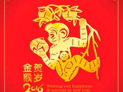 Čínský Rok opice