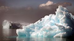 grónsko ledovec golfský proud moře