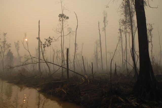 Indonésie lesy klima