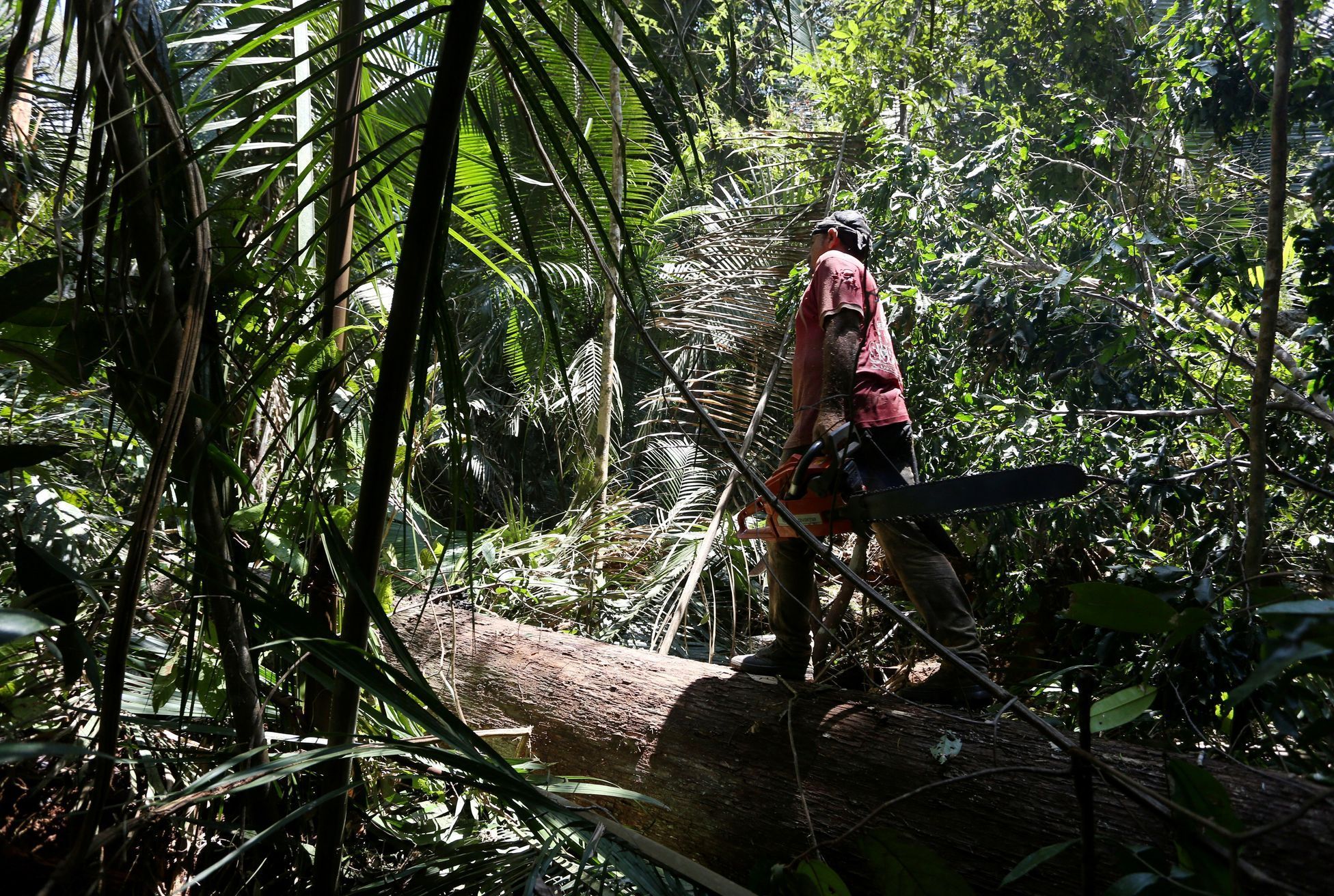 Dálnice BR-319 vede amazonským pralesem. Kolem ní se kácí a ničí džungle.