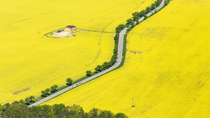 Řepkoland - letecké pohledy na žlutá řepková pole, zabírající více než desetinu orné půdy v České republice