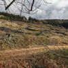 Rekultivace cest pro zadržení vody - Jizerské Hory - spolek MilujemeJizerky, ochrana přírody, zadržení vody