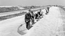 Pracovní síly Výkupního závod Ruzyně provádí sušení obilí na silnici směrem na Kladno. Rok 1960.