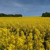 Ústav biologie obratlovců výstava Akademie věd