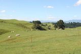 Vesnička ze světa Středozemě se nalézá na Novém Zélandu ve městě Matamata na pozemku zvaném Alexander Farm. Kromě turismu místní vydělávají především na chovu ovcí, kterých mají kolem 14 000.