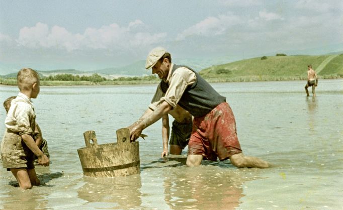 Lidé v rybníce u města Poltár v Banskobystrickém kraji. Rok 1958