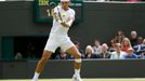 Rafael Nadal ve Wimbledonu