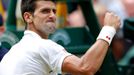 Novak Djokovič na Wimbledonu 2014