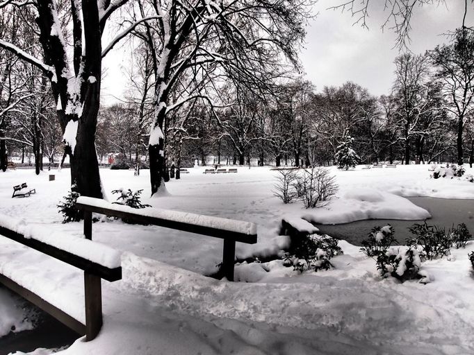 Zasněžený park v Praze Vysočanech