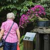 Nejlepší české bonsaje - výstava, Botanická zahrada