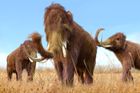 Jedni z posledních mamutů zemřeli žízní. Žili na ostrově u Aljašky