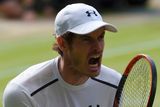 Desátý nasazený tenista nestačil na trávě centrálního dvorce All England Clubu na domácího favorita Andyho Murrayho a se svěřencem Ivana Lendla prohrál jasně třikrát 3:6.