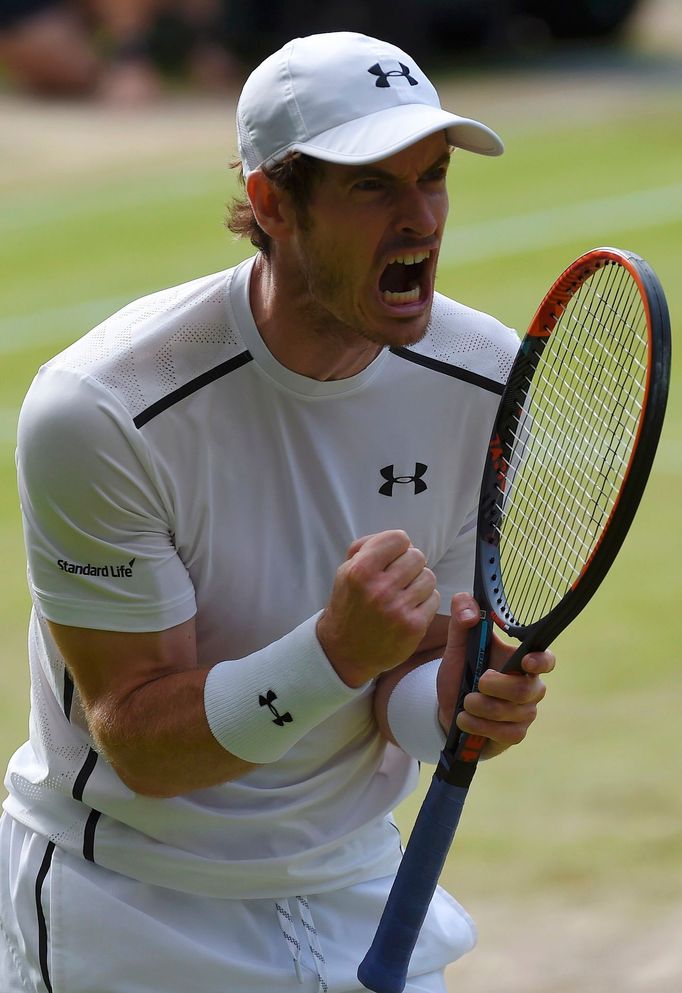 Andy Murray v semifinále Wimbledonu 2016.