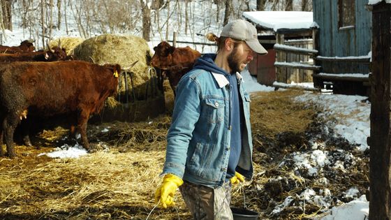 Do práce chodil v obleku, teď chová jalovice. Smrdím a neznám dovolenou, říká farmář