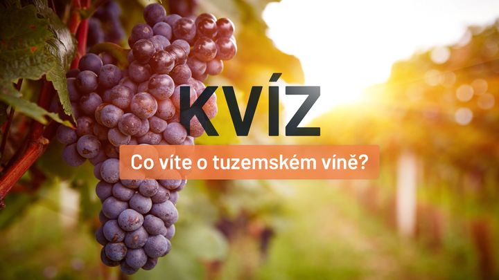 Ve víně se dnes vyzná každý. Opravdu? 15 otázek prověří, zda k němu znáte cestu; Zdroj foto: Aktuálně.cz