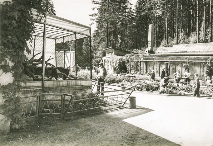 ZOO Liberec slaví 120 let od svého vzniku. Podívejte se na historické momenty a vývoj nejstarší zoologické zahrady v českých zemích od jejího založení v roce 1904.