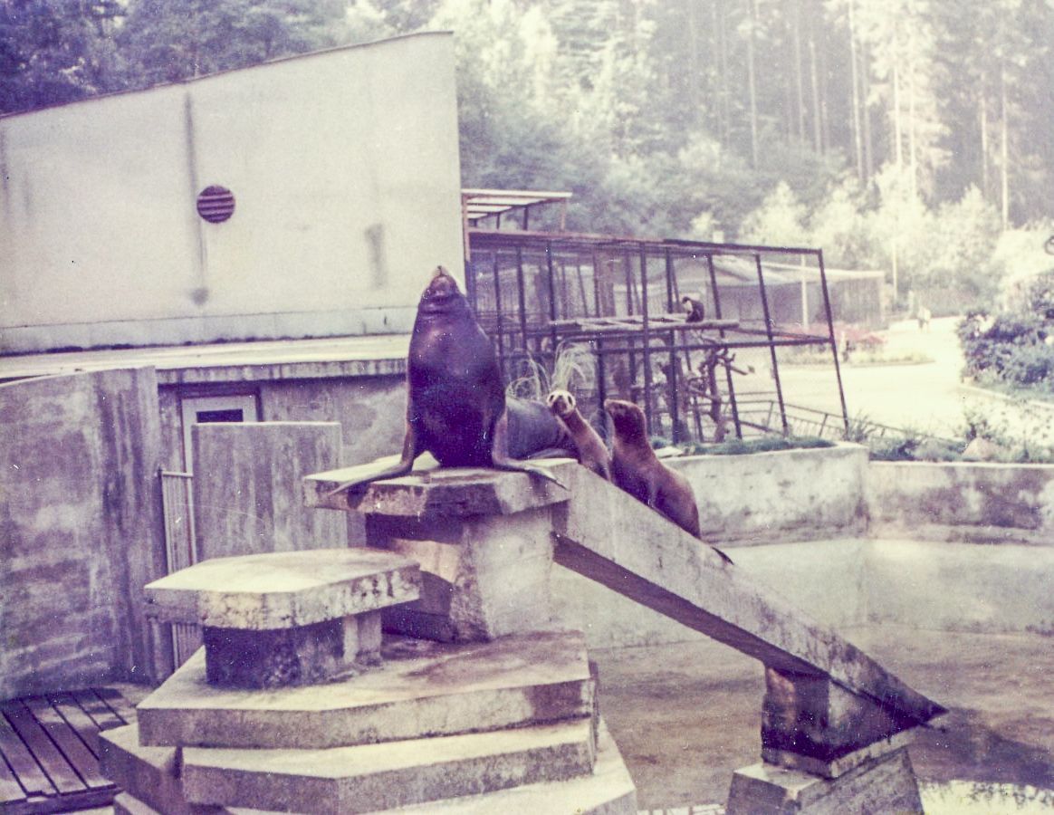 ZOO Liberec, zoo, zoologická zahrada, Liberec, historie, výročí, Domácí
