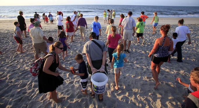 Tourists walk to the surf after watching an inventory of a hatched nest at Myrtle Beach State Park in Myrtle Beach, South Carolina August 4, 2012 . Inventories are taken three days after the nests hatch. Turtle volunteers walk the area's beaches along South Carolina's coast daily during the nesting season, looking for signs of turtle activity and keeping tabs on the progress of the endangered species of turtles that lay their eggs along the coast. Photo taken August 4, 2012. REUTERS/Randall Hill (UNITED STATES - Tags: ANIMALS ENVIRONMENT) Published: Srp. 21, 2012, 12:53 odp.