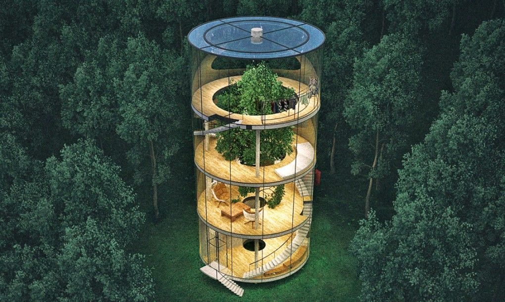 Tree House, Kazachstán