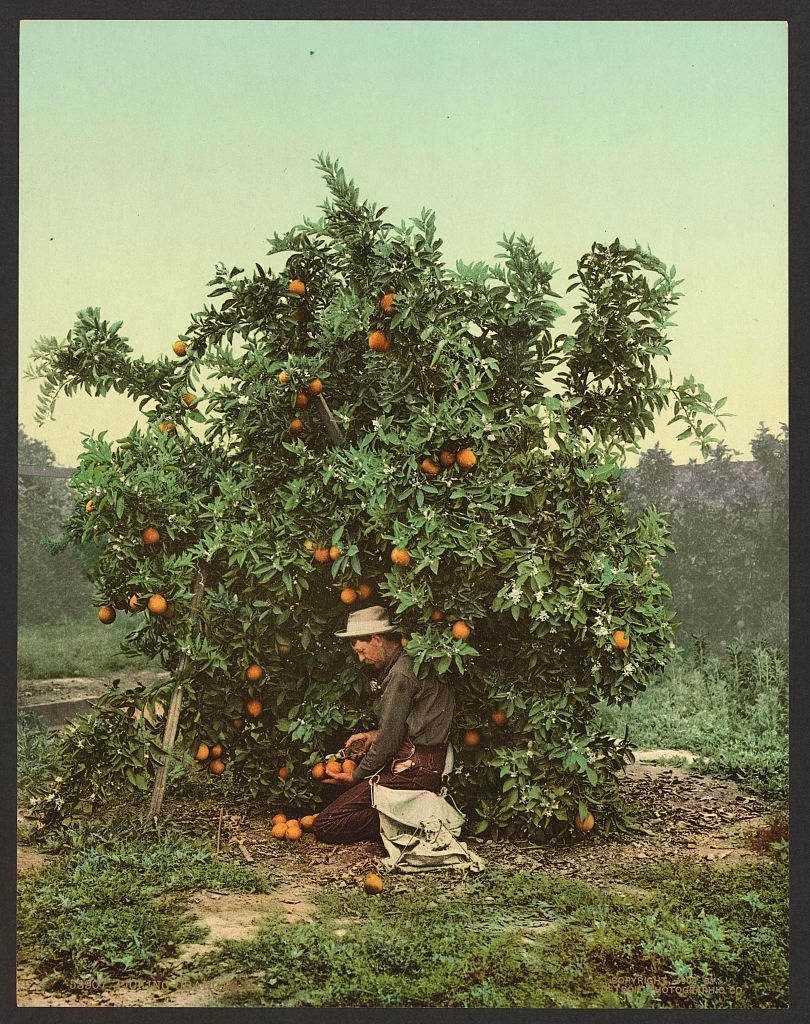 USA před 120 lety - fotochoromy se sbírek knihovny Kongresu (Library of Congress)