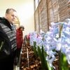Výstava "Voda na Pražském hradě & hyacinty a hvězdníky"