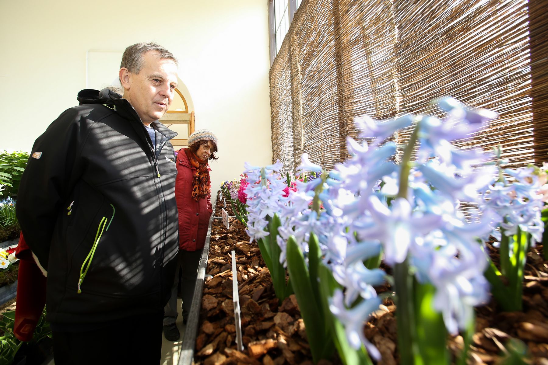 Výstava "Voda na Pražském hradě & hyacinty a hvězdníky"