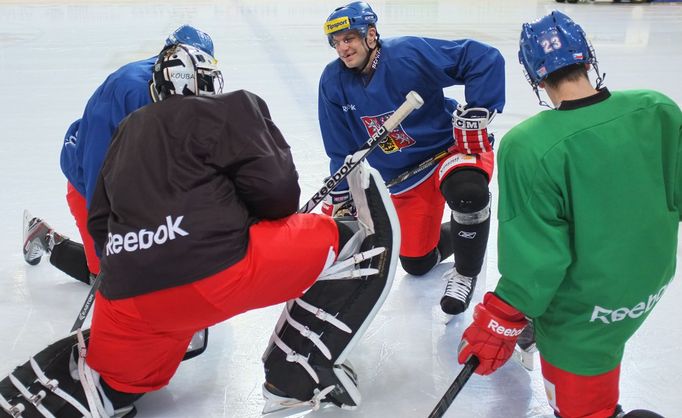 Česká hokejová reprezentace (Karjala Cup 2013)