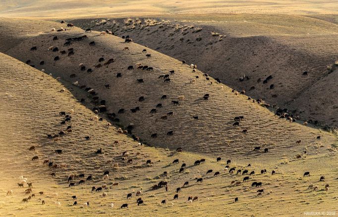 Miroslav Havelka: Kazachstán a Kyrgyzstán na fotografiích