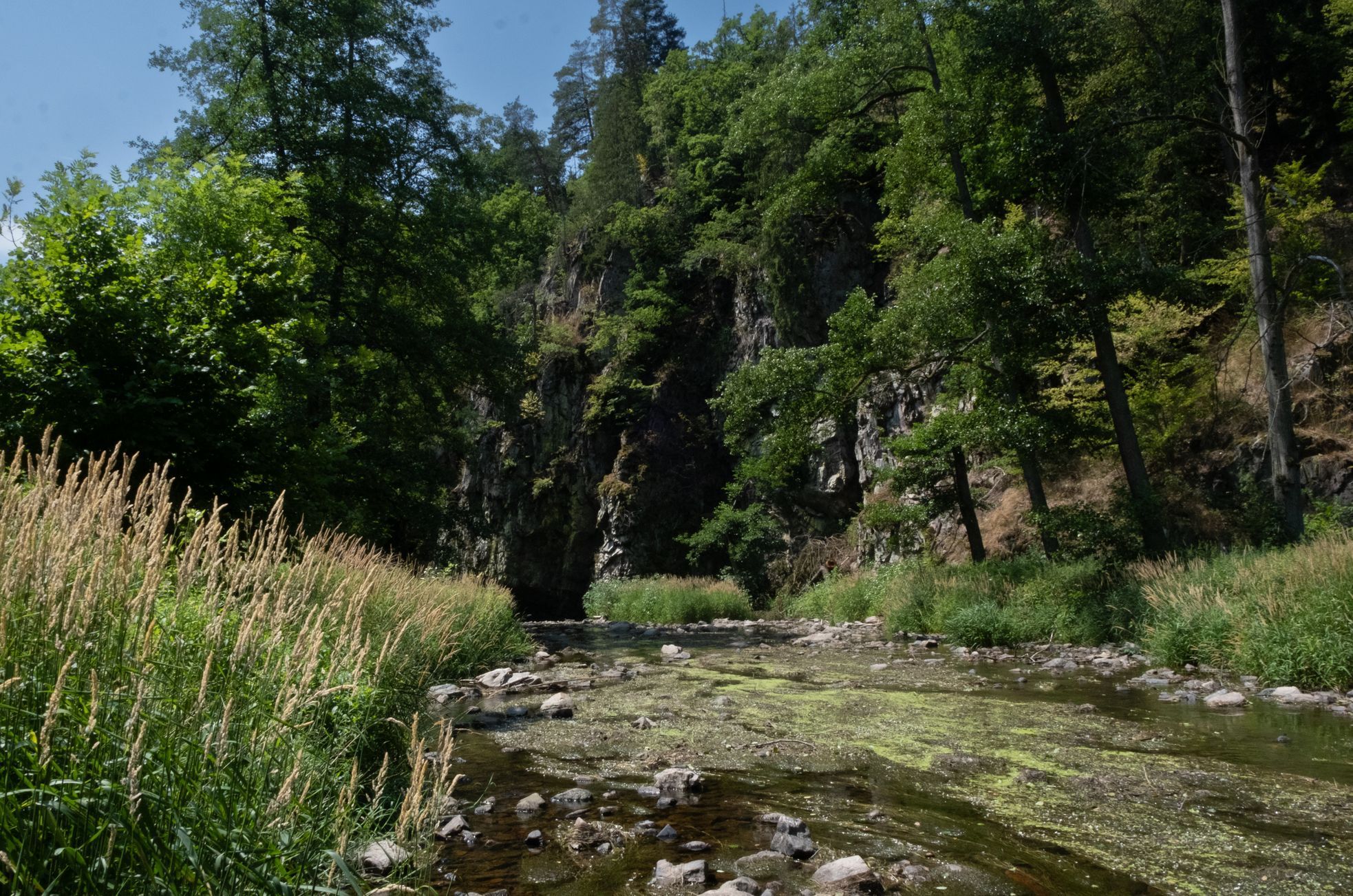 Údolí řeky Bobrovky