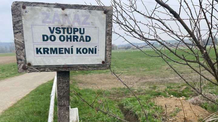 "Trápila jsem se, zvířata miluju." Balaštíková vedla slavný hřebčín, než zkrachoval; Zdroj foto: Ondřej Stratilík