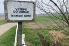 "Trápila jsem se, zvířata miluju." Balaštíková vedla slavný hřebčín, než zkrachoval