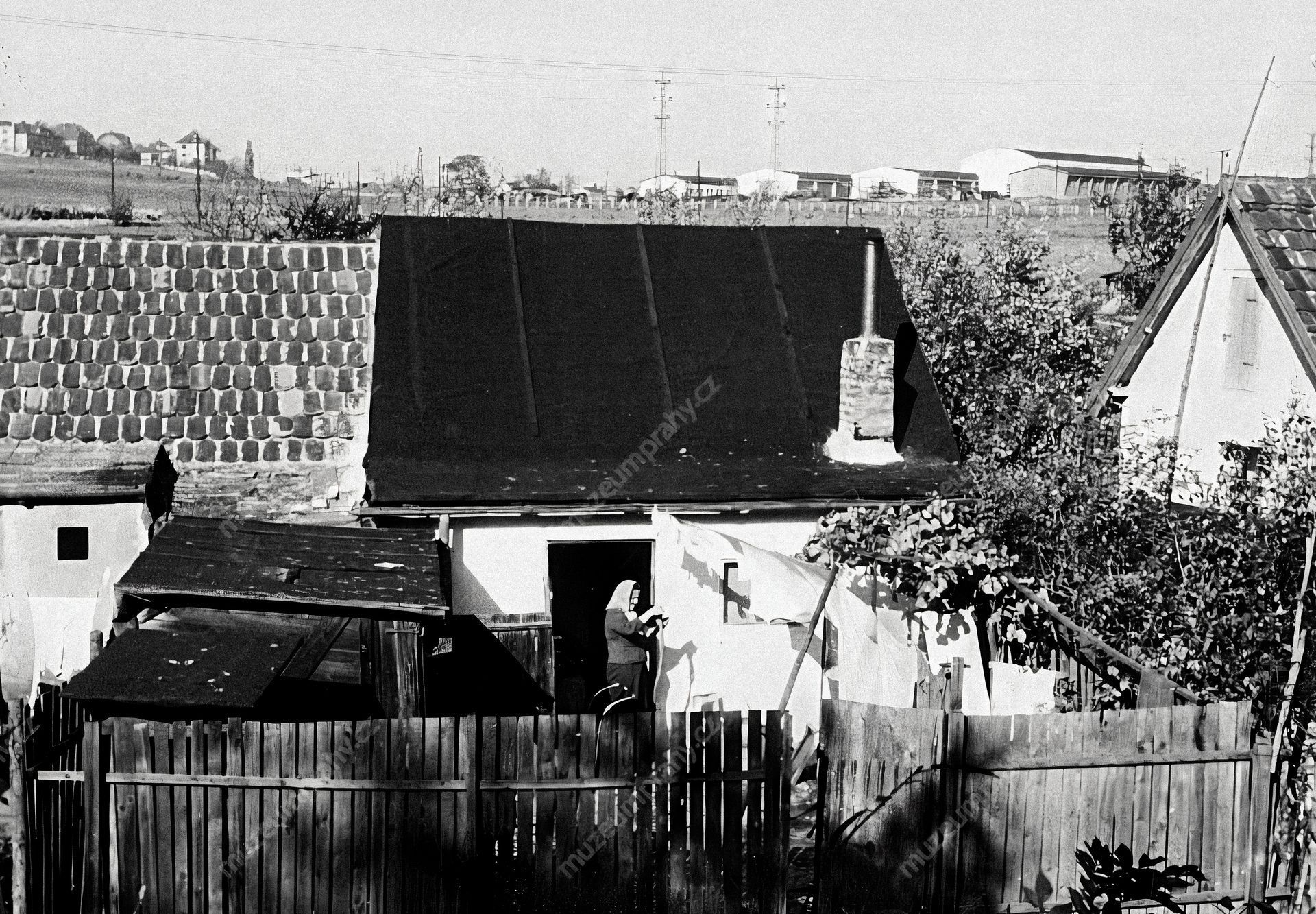 Chudá Praha, kniha, Muzeum hlavního města Prahy, historie, Domácí