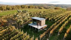 Glamping Ve vinohradě