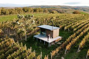 V objetí vinic, s Pálavou na dohled. Glamping Ve vinohradu vyrůstá z moravské krajiny