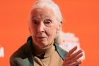 Zemřela britská primatoložka Jane Goodallová, bylo jí 91 let