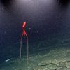 Northeast Canyons and Seamounts Marine National Monument