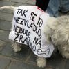 Studenti demostrovali proti státní maturitě