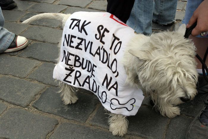 Studenti demostrovali proti státní maturitě