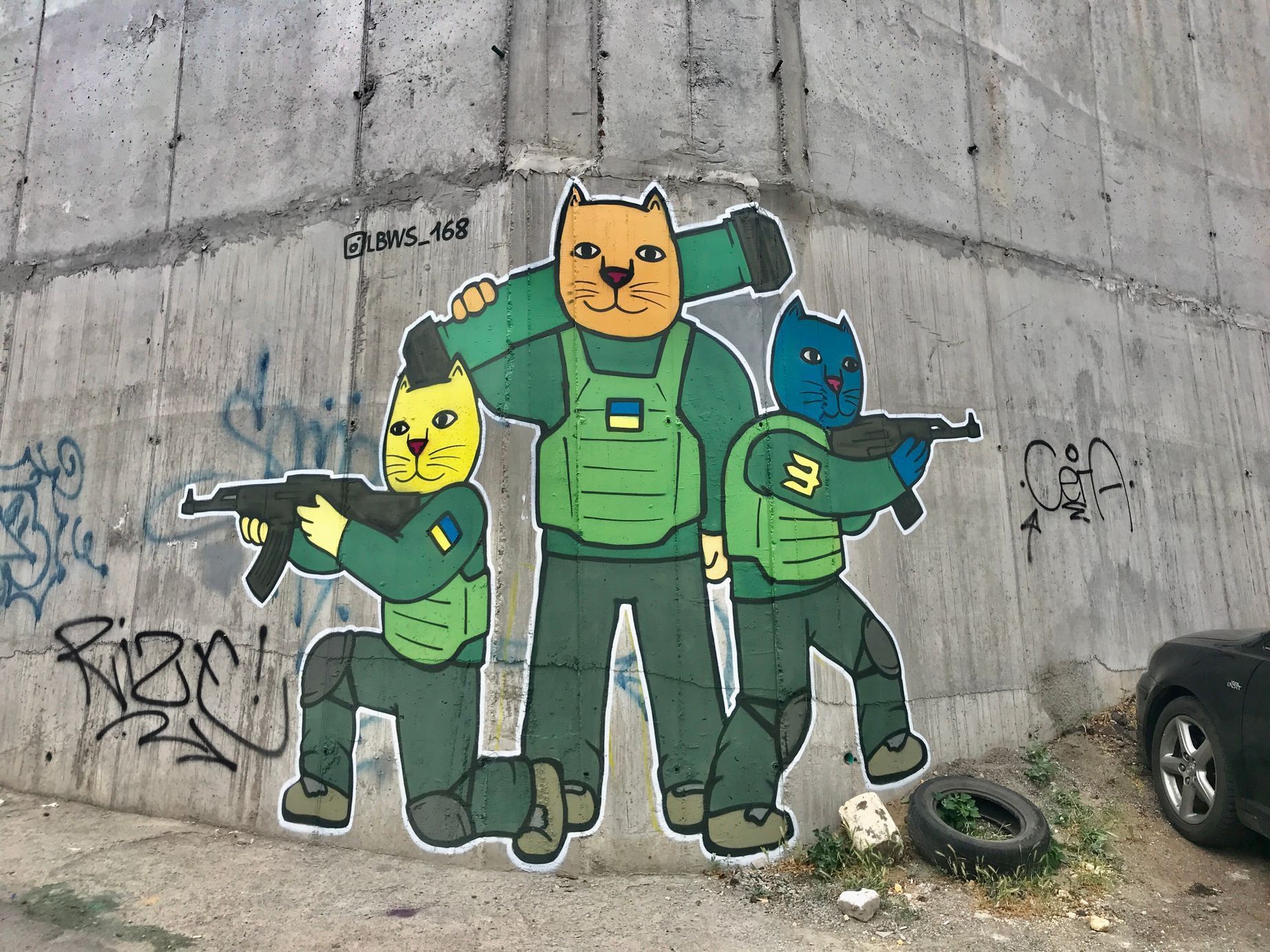 Anonymní graffiti umělec LBWS, Oděsa, Ukrajina, kočky