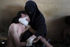 World Press Photo ovládlo arabské jaro a tsunami