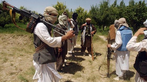 Taliban v akci: exkluzívní fotografie Reuters