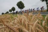 Peloton Tour de France dorazil do Dordogne, kde si užívá zaslouženého odpočinku. Ač to možná před začátkem závodu tak nevypadalo, závodníky čekal pořádně rušný týden. Pojďte se podívat, co všechno se semlelo.