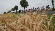 Peloton Tour de France dorazil do Dordogne, kde si užívá zaslouženého odpočinku. Ač to možná před začátkem závodu tak nevypadalo, závodníky čekal pořádně rušný týden. Pojďte se podívat, co všechno se semlelo.