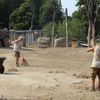 Sloni v pražské ZOO