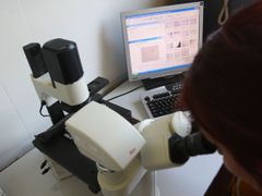 Mikroskop odhalí virus chřipky, ale jeho typ musí určit až další analýzy.