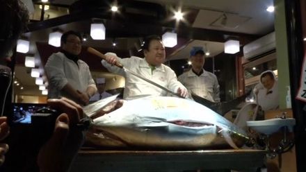 Restaurace utratí v aukci za jediného tuňáka každý rok miliony