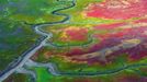 Tidal flats, Katmai National Park, Alaska